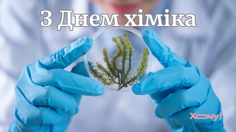 На фото картинка с поздравлениями