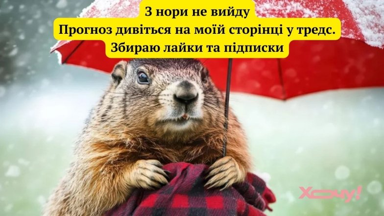 Шутки ко дню сурка