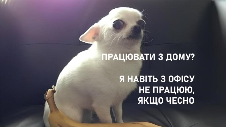 Шутки и анекдоты о кадровых работниках