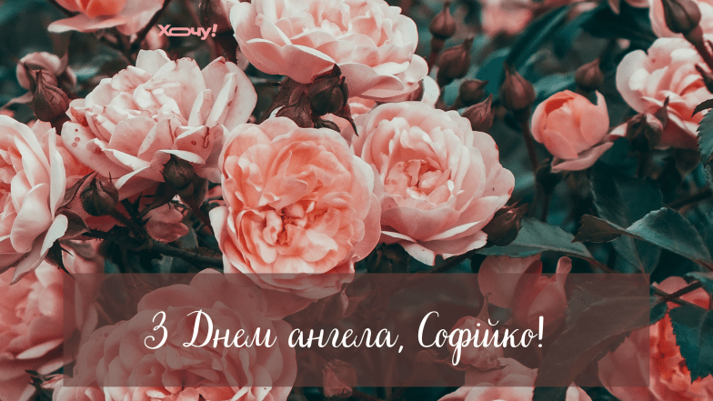 листівки з днем ангела софія