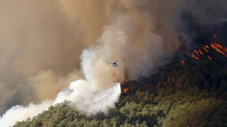 В Турции бушуют лесные пожары: погибло три человека (ФОТО) - фото №3
