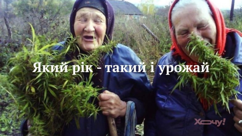 Як українці жартують про урожай