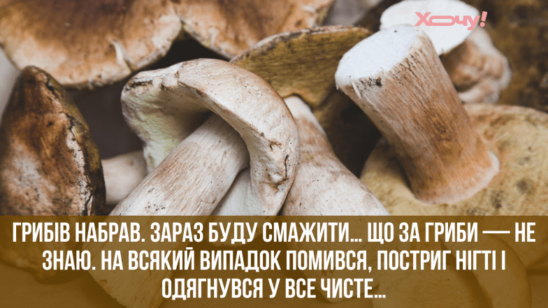 день грибника жарти