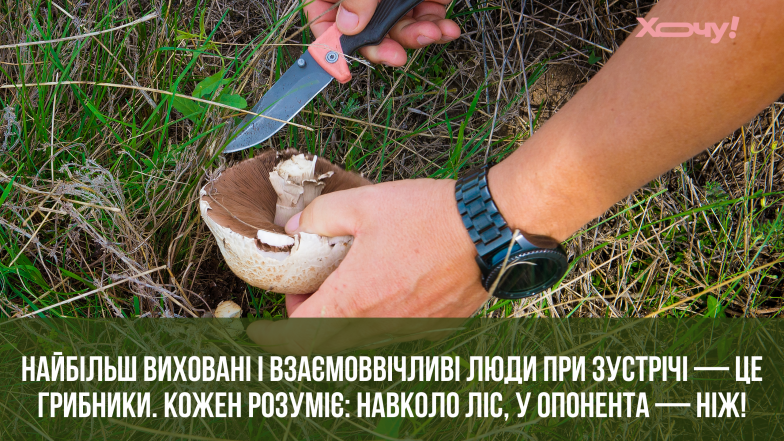 анекдоти про гриби та грибників