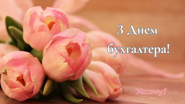 З днем бухгалтера привітання