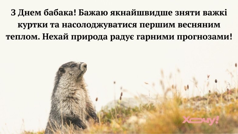 Поздравление с днем сурка