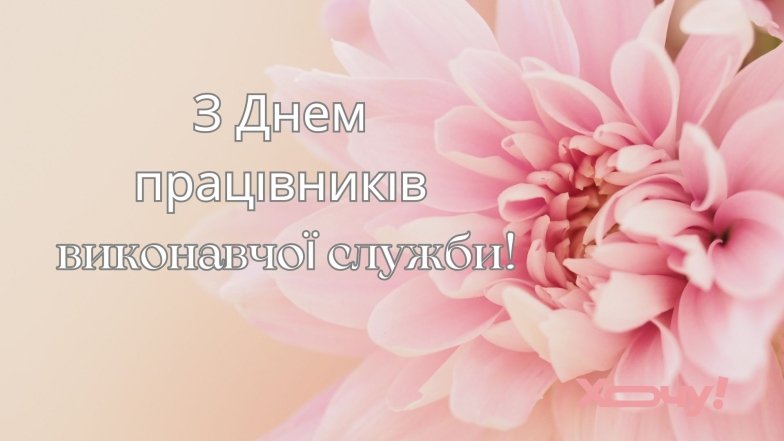 День работника государственной исполнительной службы 2025