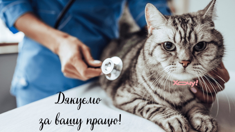 з днем ветеринара