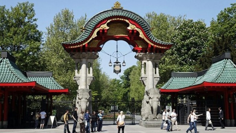 Почему важно ходить в зоопарк