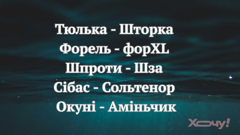 Порция юмора для бодрого дня