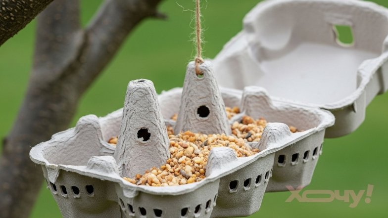 Що можна зробити зі старими коробками з-під яєць