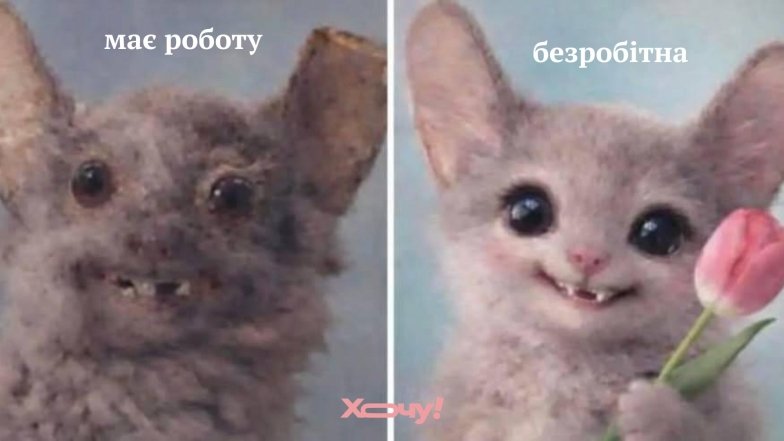 Лучшие шутки о работе