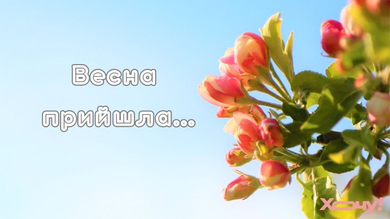 Подборка нежных поздравлений, которые принесут удачу и радость