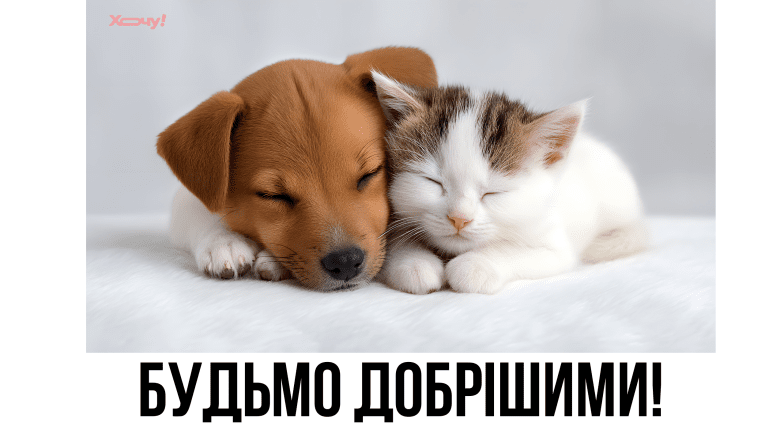 з днем доброти