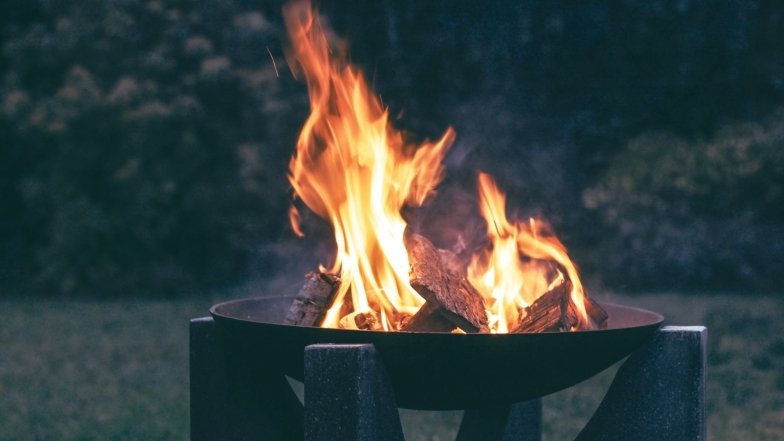 Як вибрати правильні дрова