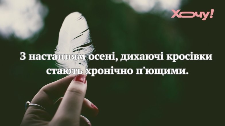 Мемы и смешные шутки об осенней погоде