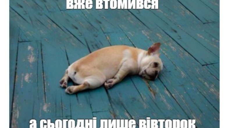 Приколы о вторнике и рабочих буднях