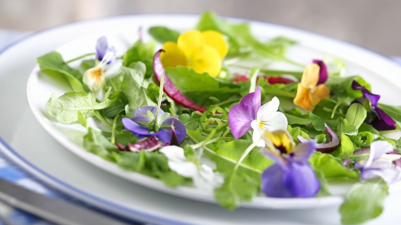Съедобные цветы для салата с морепродуктами
