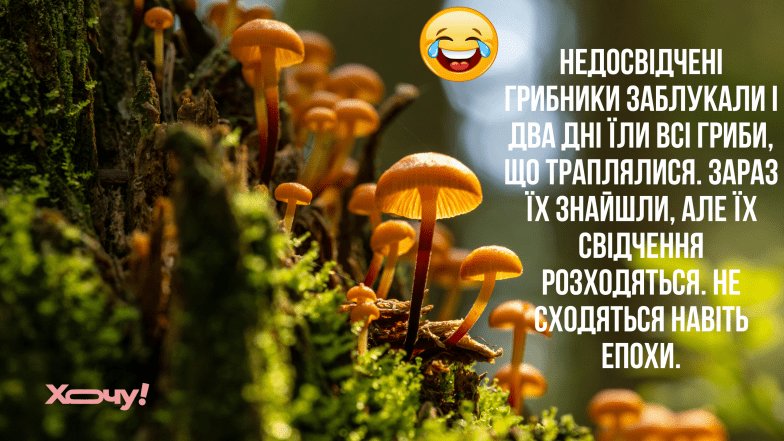 жарти про гриби