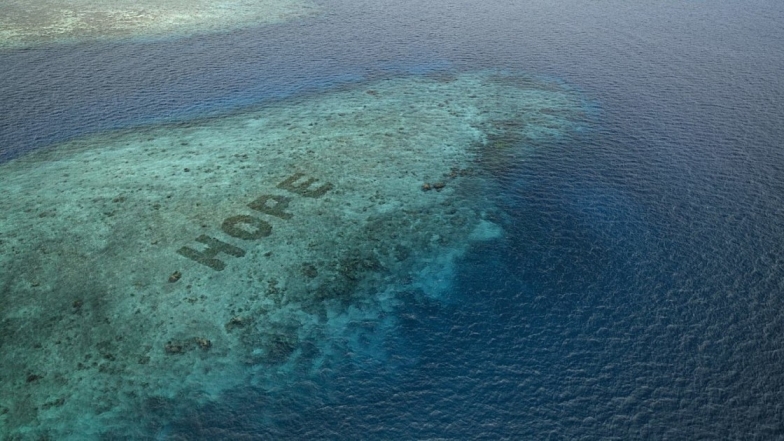 Pantone представил новый оттенок "Надежда": он посвящен восстановлению коралловых рифов - фото №2