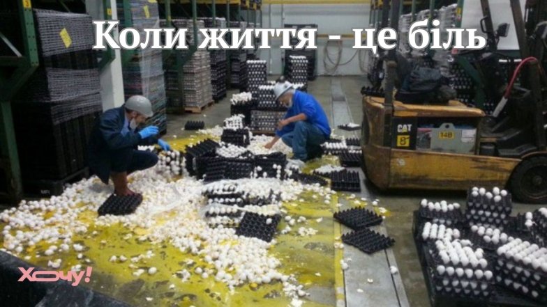 Смешные картинки и шутки о яйцах