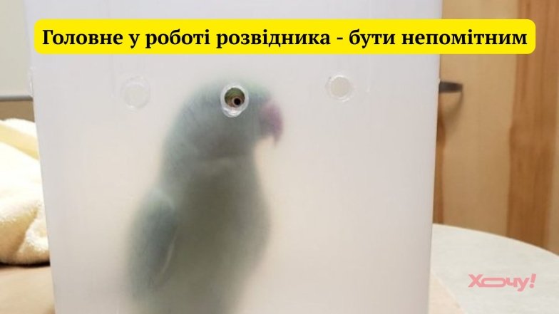 Приколы и анекдоты о разведчиках