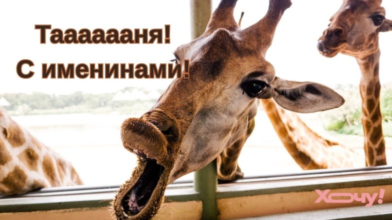 Прикольные картинки с именинами Татьяны