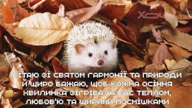 Поздравления с Днем осеннего равноденствия