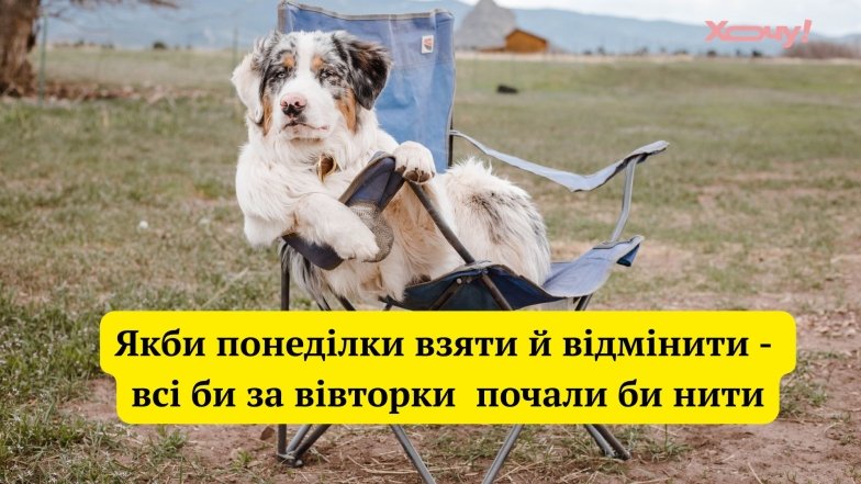Приколы о вторнике и рабочих буднях