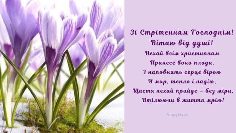 Зворушливі побажання та яскраві листівки для рідних