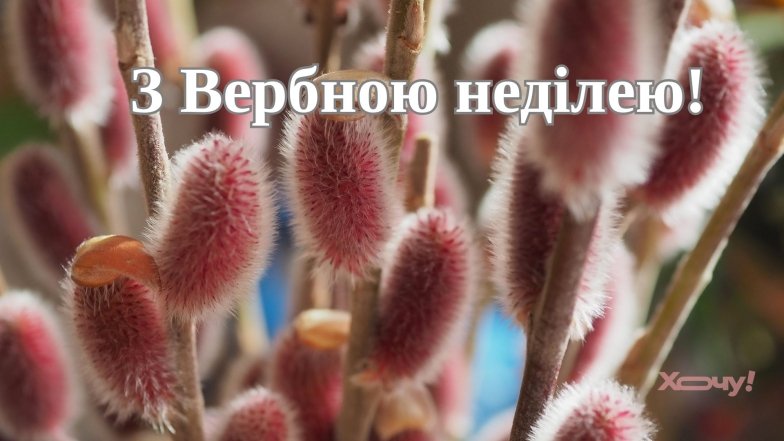 Вербное воскресенье 2026, картинка