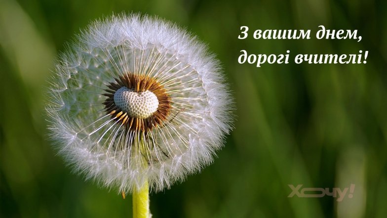 Красивые стихи на День учителя