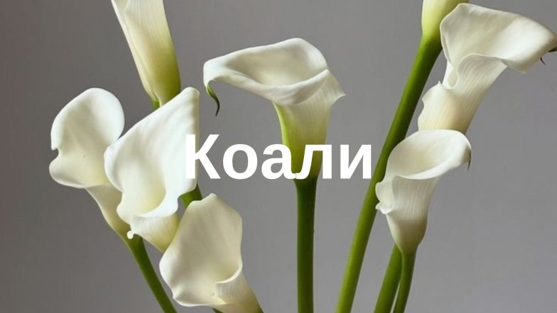 Самые популярные цветы и их "мужские" названия