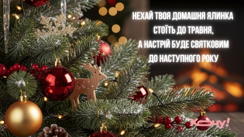 Смішні побажання та жартівливі картинки до свята