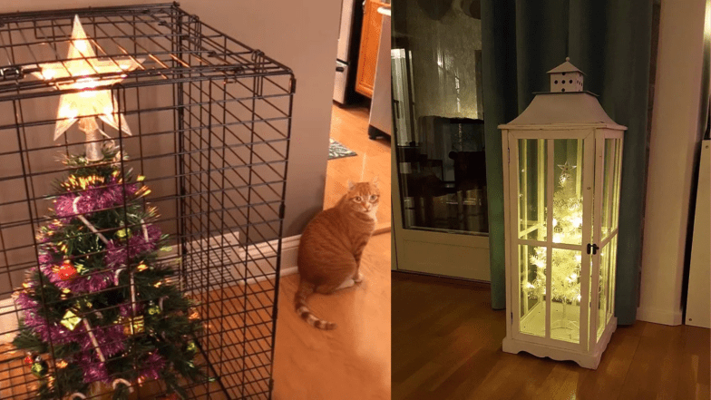 захистити кота від ялинки