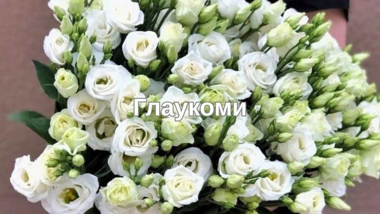 Самые популярные цветы и их "мужские" названия