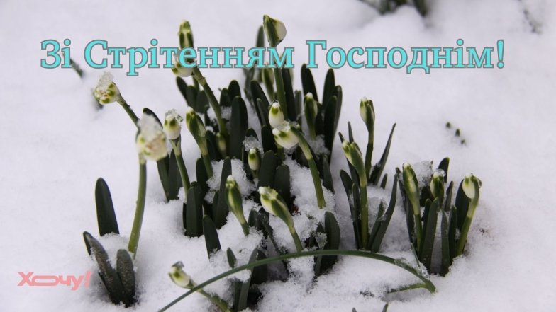 Поздравляем верующих со Сретением Господним