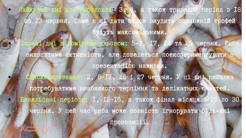 Когда клюет рыба в июне 2026 года