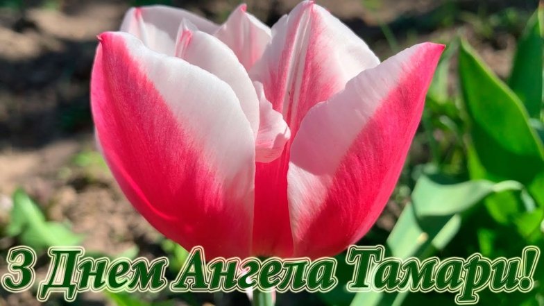 Привітання з днем ангела Тамари - картинки, побажання