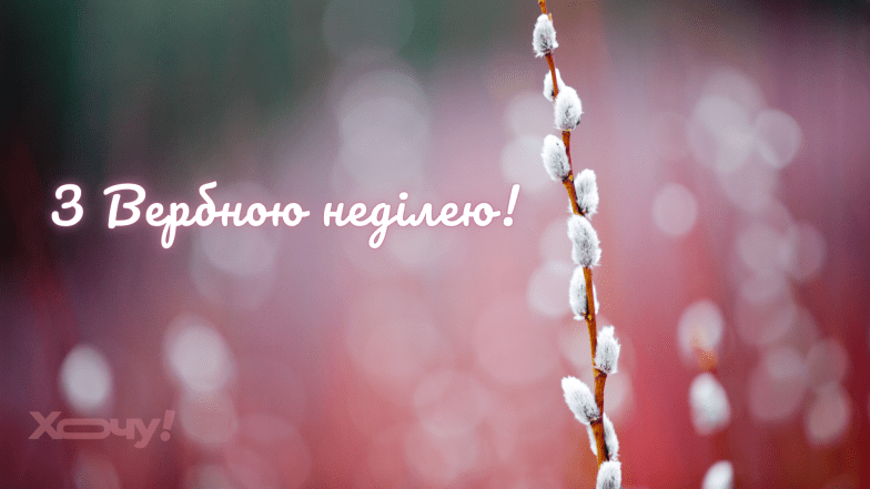 Картинки и открытки с Вербным воскресеньем 2026