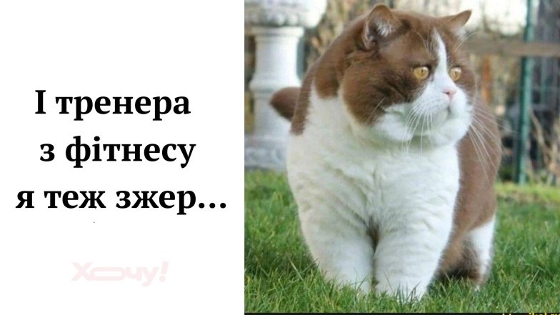 Смешные анекдоты о спортзале и тренировках