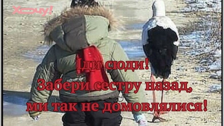 Приколи і жарти про сестер