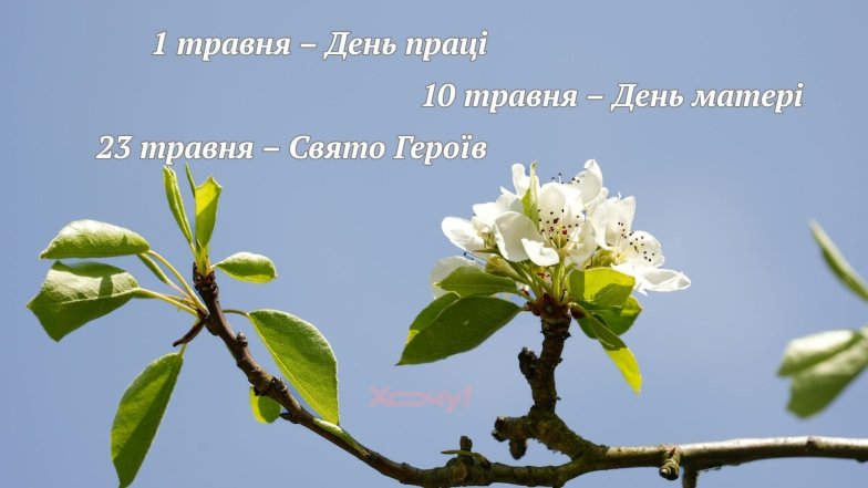Які свята будуть у травні