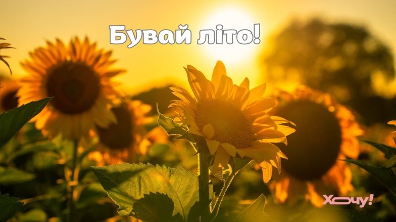 Добірка яскравих листівок та привітань у прозі