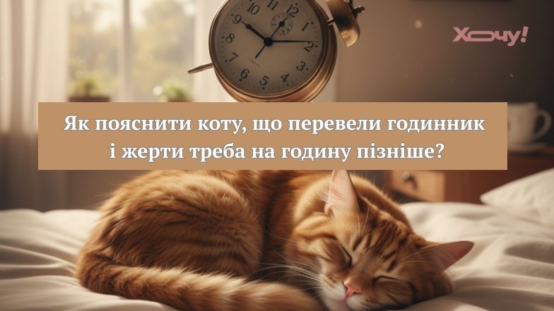 Приколи про переведення годинника 2025