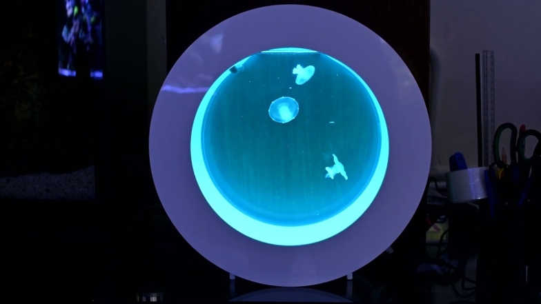 Аквариум с медузами дома: оригинальное дизайнерское решение, роскошь или удивительный релакс? - фото №1