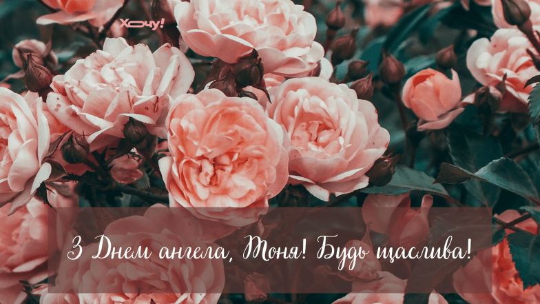 с днем ангела антонины