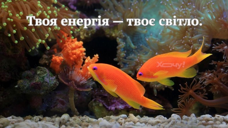 Мотивуючі шпалери на телефон