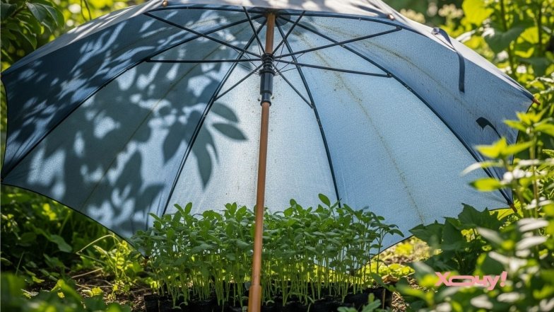 Як захистити рослини від сонця