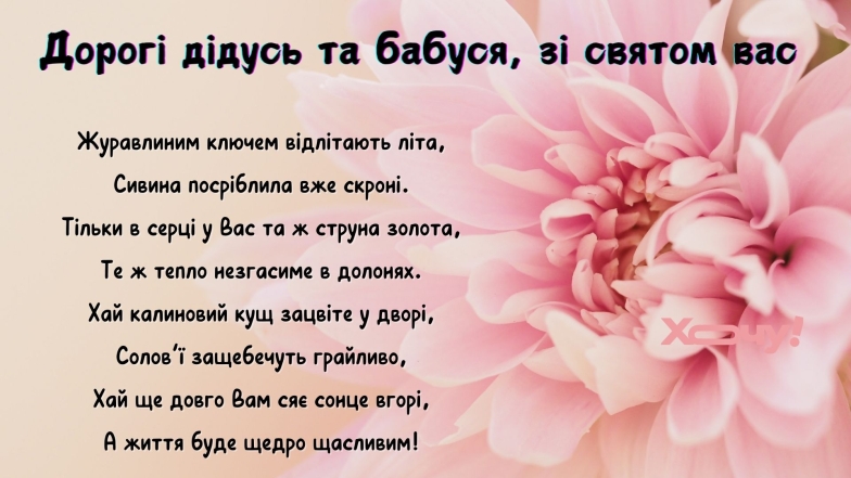 Красиві картинки та листівки до свята бабусь і дідусів